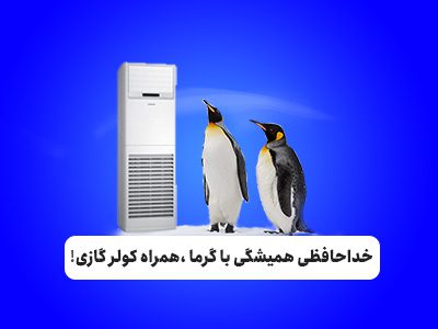 میرحاجی شاپ 39 میرحاجی شاپ | 5